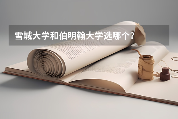 雪城大学和伯明翰大学选哪个？