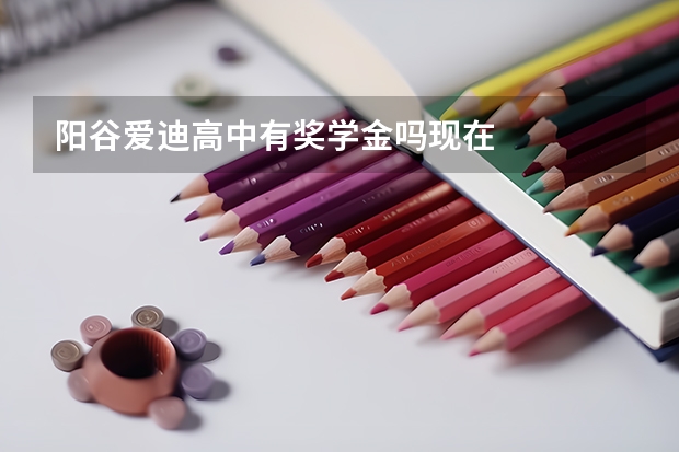 阳谷爱迪高中有奖学金吗现在