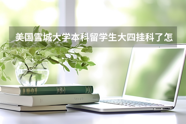 美国雪城大学本科留学生大四挂科了怎么办