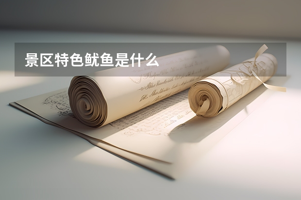 景区特色鱿鱼是什么