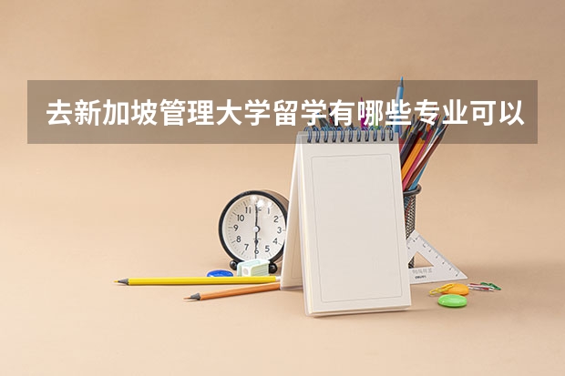 去新加坡管理大学留学有哪些专业可以选择，哪些是优势专业
