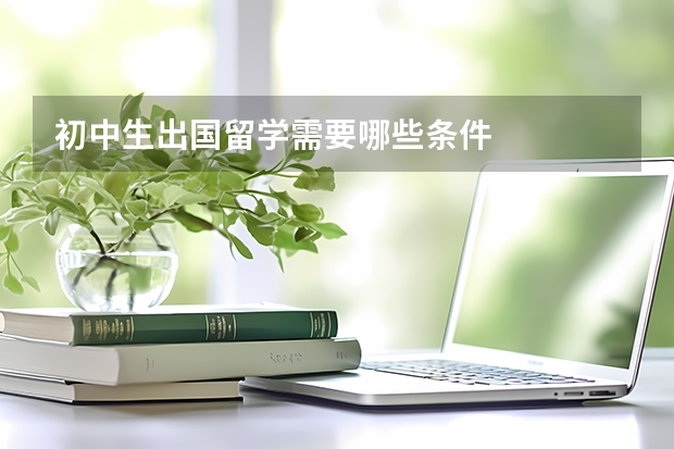 初中生出国留学需要哪些条件