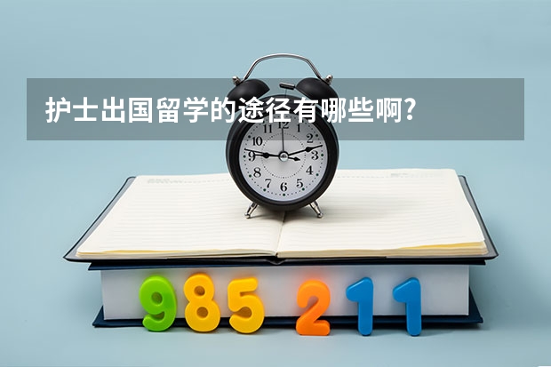 护士出国留学的途径有哪些啊?