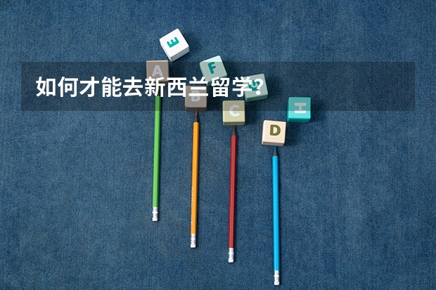 如何才能去新西兰留学？