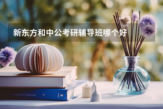 新东方和中公考研辅导班哪个好
